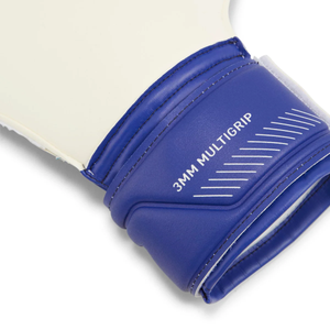 Puma Ultra Match Protect RC Goalkeeper Gloves