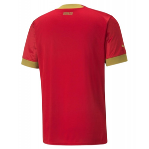 Puma Serbia Home Jersey World Cup 2022